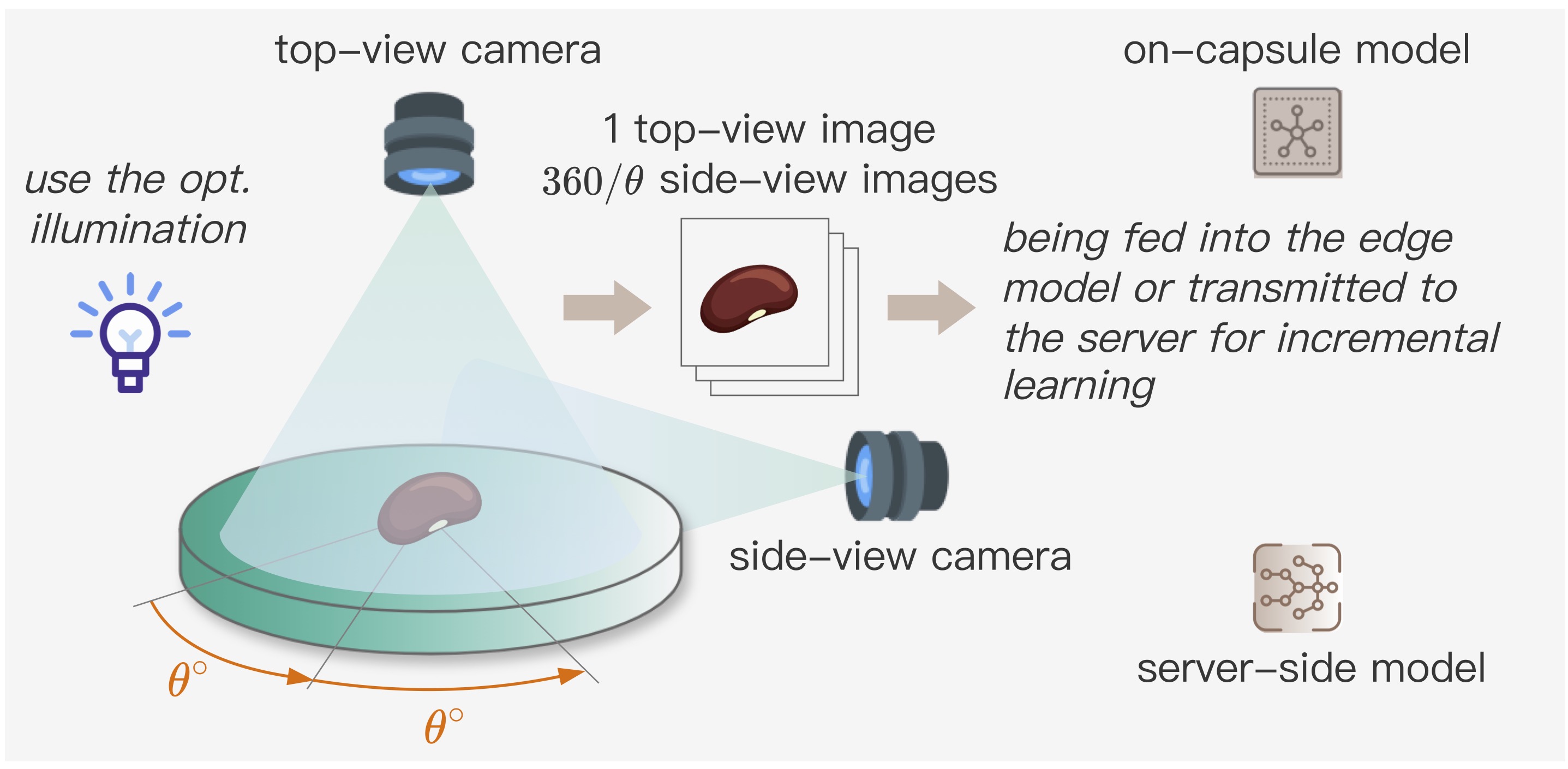 图2-右.jpg